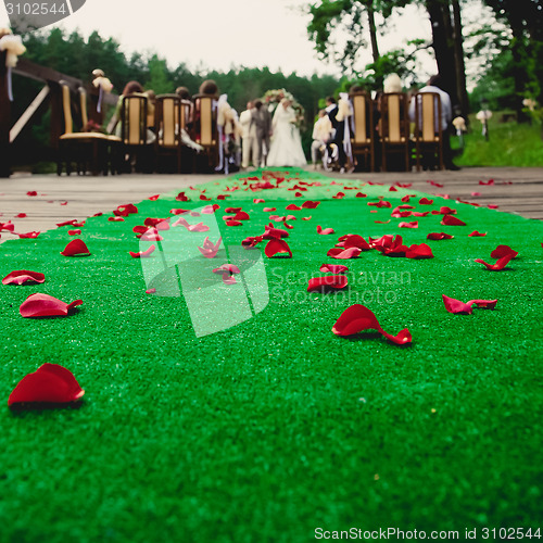 Image of Wedding ceremony in a beautiful garden.