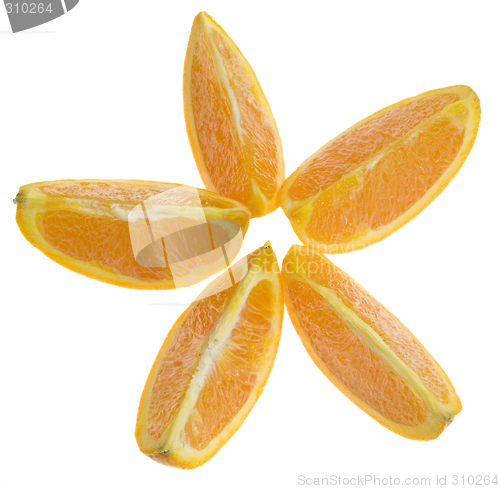 Image of Slices of orange

