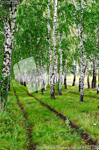 Image of Birchwood with road