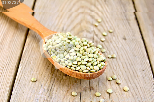 Image of Lentils green in wooden spoon on board