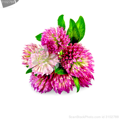 Image of Clover pink bouquet