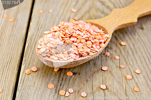 Image of Lentils red in wooden spoon on board