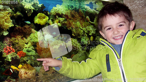 Image of Little boy in the aquarium