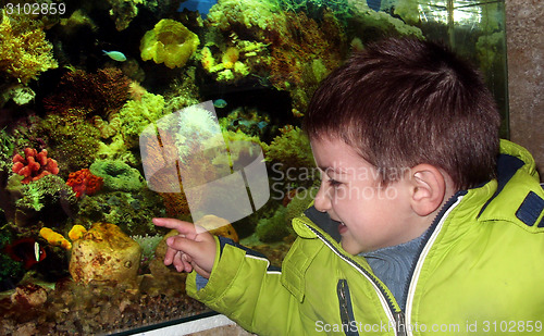 Image of Little boy in the aquarium