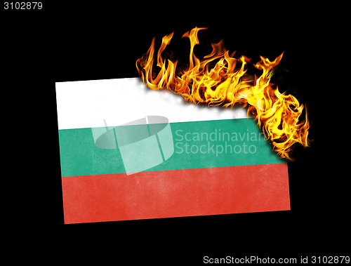 Image of Flag burning - Bulgaria