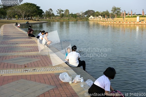 Image of Fish Feeding