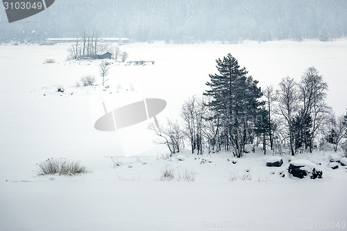 Image of Eibsee winter