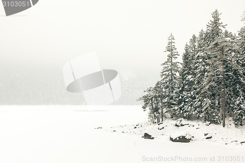 Image of Eibsee winter