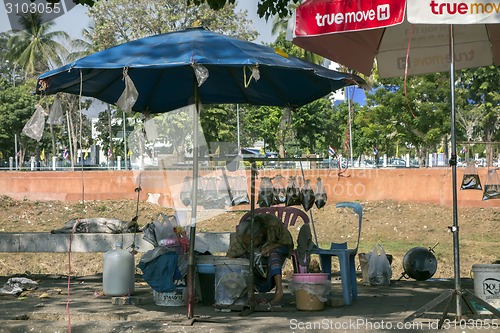 Image of Live Fish Seller and Sleeping Dog