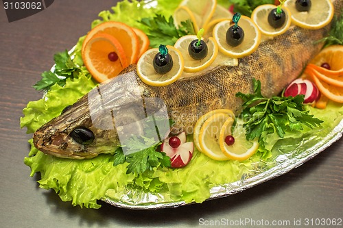 Image of zander fish