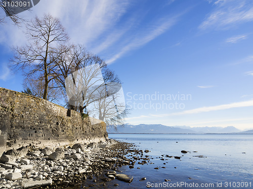 Image of Lake Constance with rocks and trees