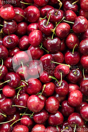 Image of Freshly picked heap of cherries