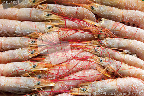 Image of Deep frozen boiled shrimps.Tasty seafood.