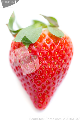 Image of Fresh Isolated Strawberry