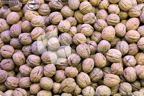 Image of Background of walnuts
