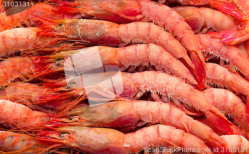 Image of Deep frozen boiled shrimps.