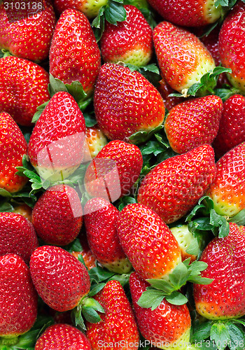Image of Background of ripe strawberries 