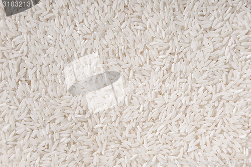 Image of White rice background