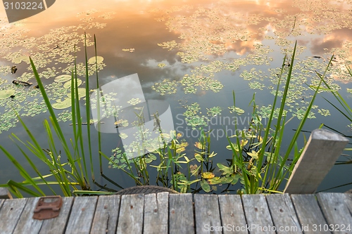 Image of Peaceful place at the pond