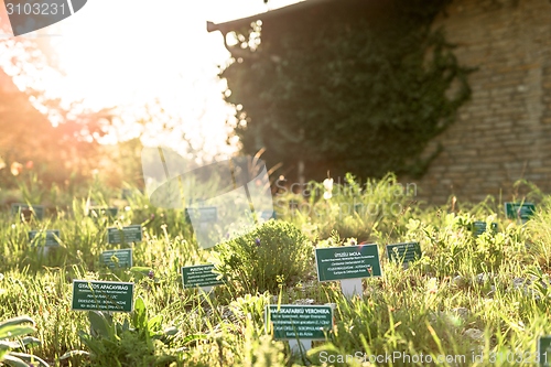 Image of name boards in the garden