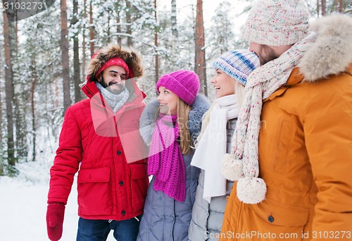 Image of group of smiling men and women in winter forest