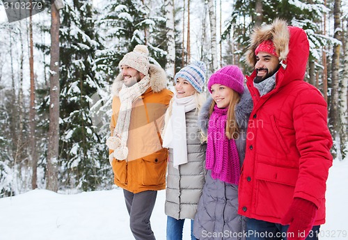 Image of group of smiling men and women in winter forest