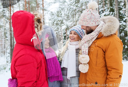 Image of group of smiling men and women in winter forest