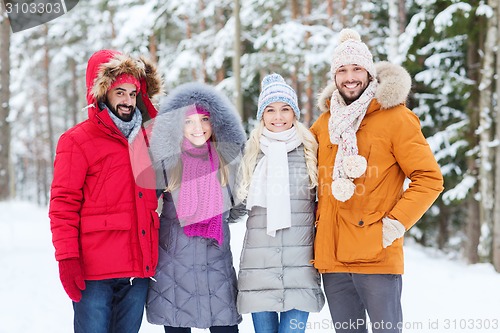 Image of group of smiling men and women in winter forest