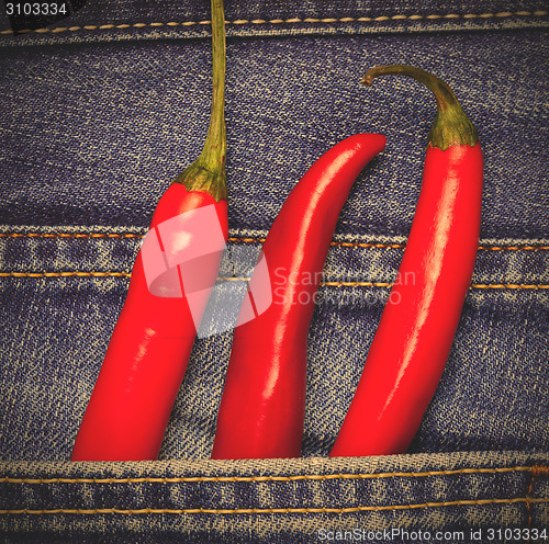 Image of hot chili peppers in a jeans pocket