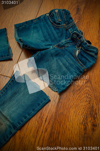 Image of cat old jeans