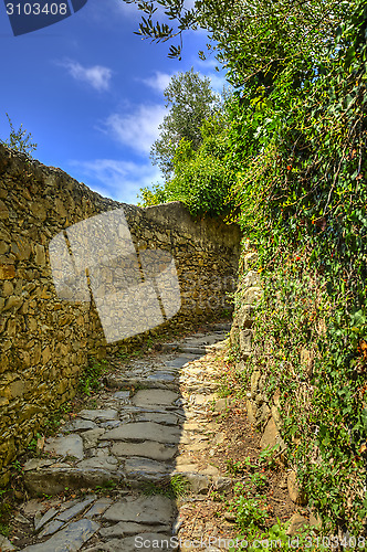 Image of Footpath in Cinque Terre National Park