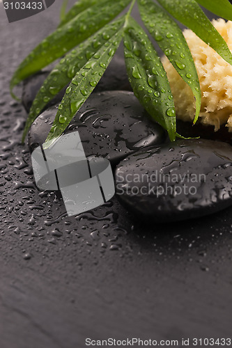 Image of Green leaf on spa stone on wet black surface