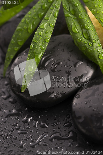 Image of Green leaf on spa stone on wet black surface