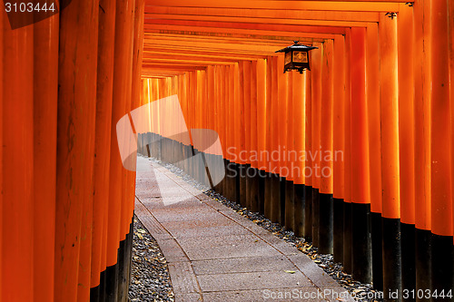 Image of Fushimi Inari Shrine