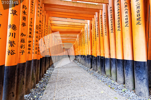 Image of Fushimi Inari Taisha Shrine in Kyoto