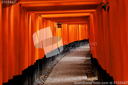 Image of Fushimi Inari Shrine