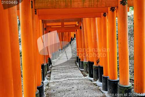 Image of Fushimi Inari Taisha Shrine in Kyoto