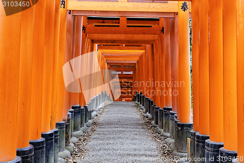 Image of Fushimi Inari Taisha Shrine in Kyoto