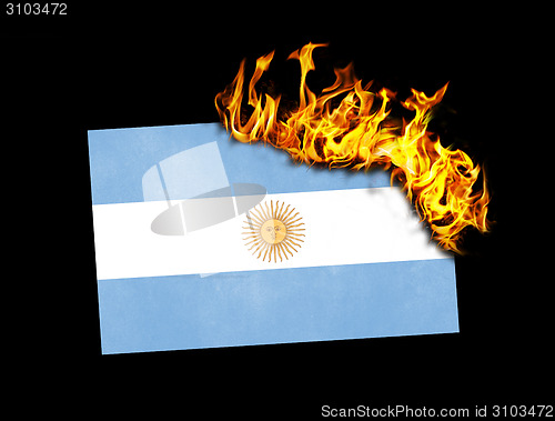 Image of Flag burning - Argentina