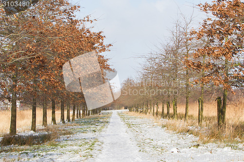 Image of Snow on a small path