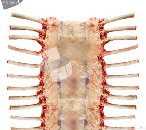 Image of raw spare ribs