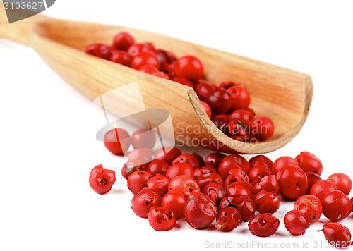 Image of Red Peppercorns