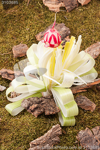 Image of Flower of leek on forest floor