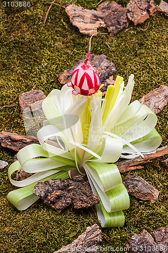 Image of Flower of leek on forest floor