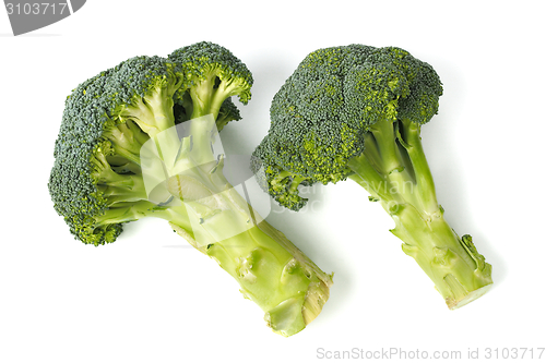 Image of Two broccoli on white