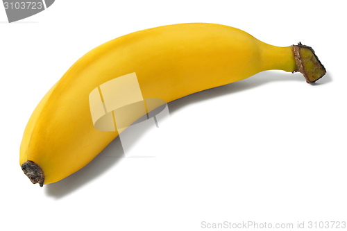 Image of Banana on white