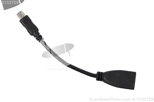 Image of OTG cable