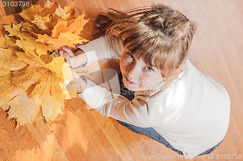 Image of The girl with maple leaves