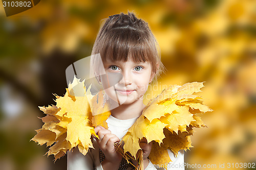 Image of The girl with autumn leaves