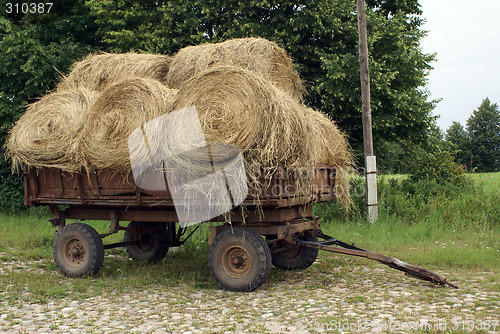 Image of Cart with grass